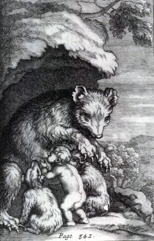 Bernard O'Conor, History of Poland, 1698
